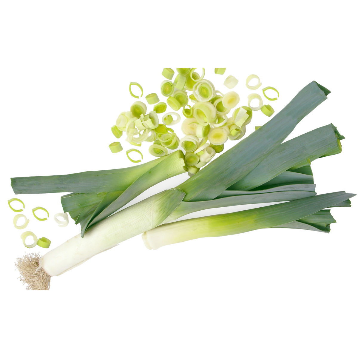 American Flag Leek Seeds - Giant Musselburgh, Cool Season, 210 seeds