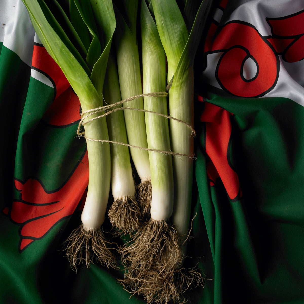 American Flag Leek Seeds - Giant Musselburgh, Cool Season, 210 seeds