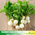 110 Seeds|Hailstone Radish Seeds – Heirloom, Non-GMO, Fast Growing White Radish, Crisp Round Roots, Mild Flavor, Ready in 25 Days, Easy Spring & Fall Garden Vegetable, Great for Salads and Snacking#7017