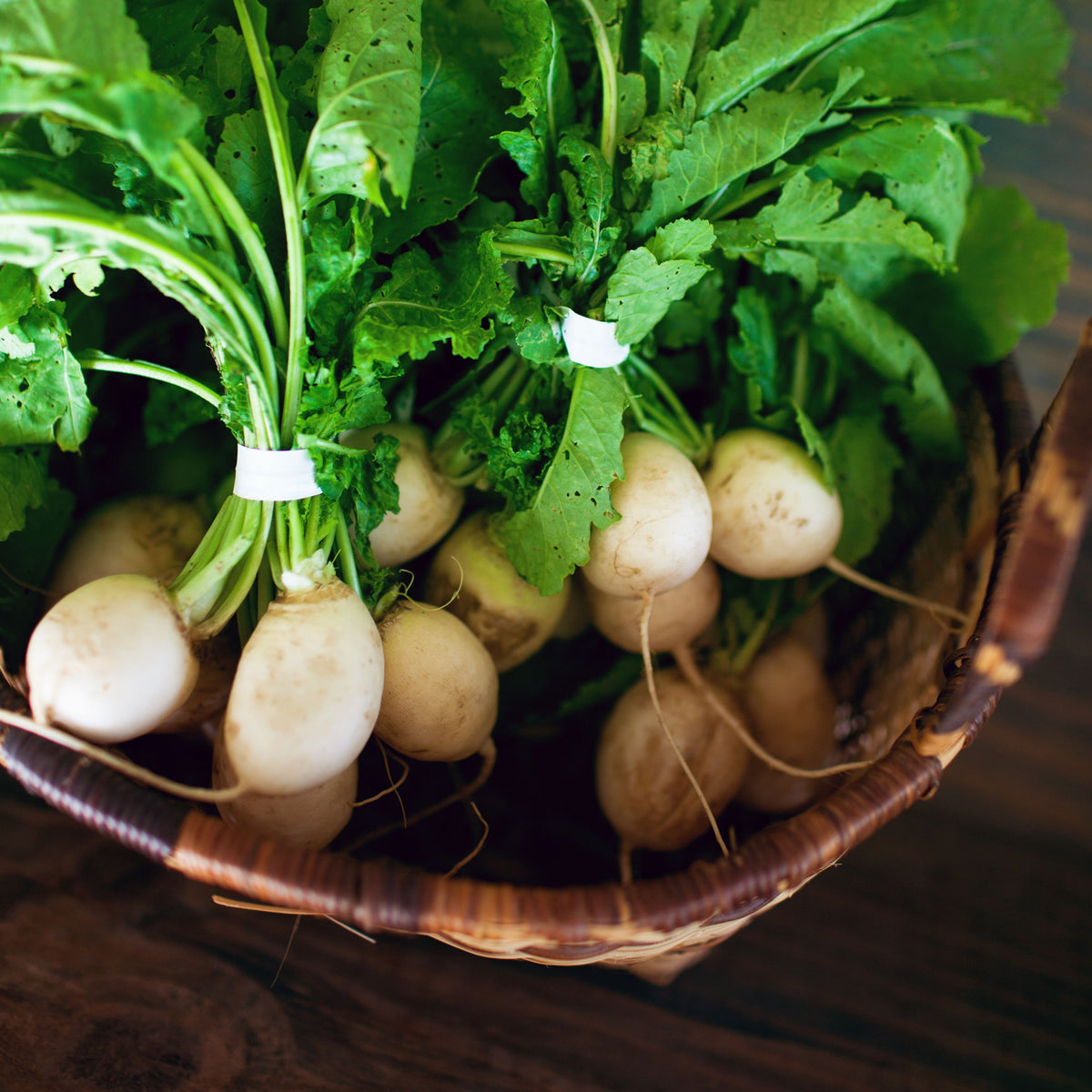 Hailstone Radish Seeds - Fast Growing White Radish, 110 seeds