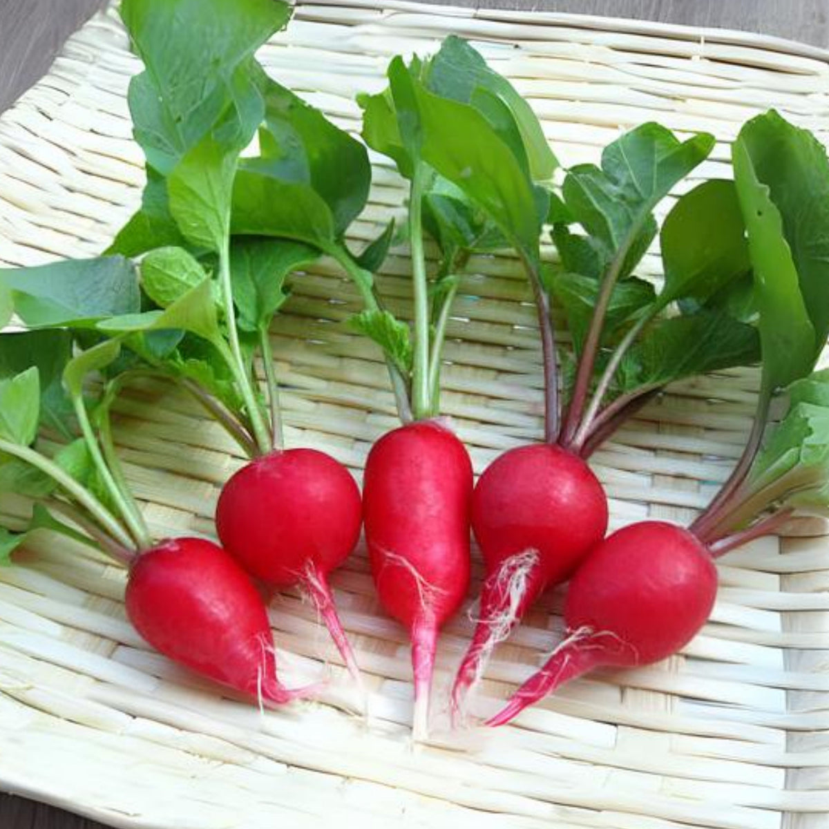 Red Crimson Giant Radish Seeds - Large Red Roots, 100+ seeds