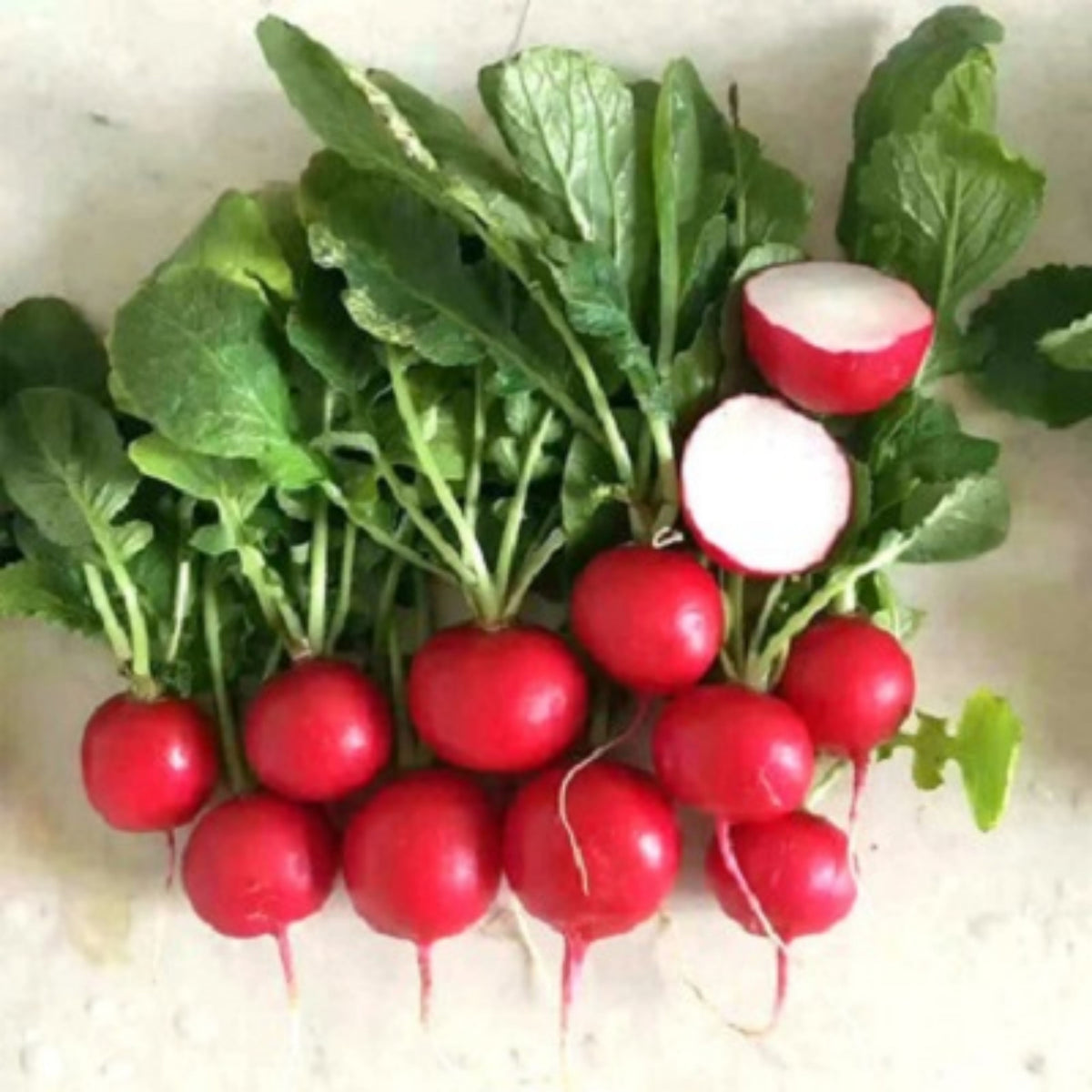 Red Crimson Giant Radish Seeds - Large Red Roots, 100+ seeds