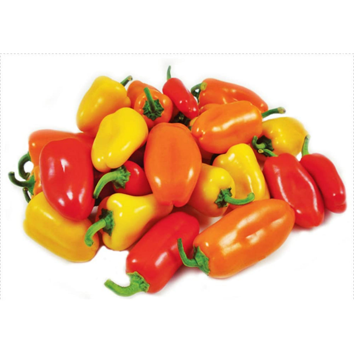 Lunchbox Sweet Pepper Seeds - Mini Size, Sweet Flavor, 30 seeds
