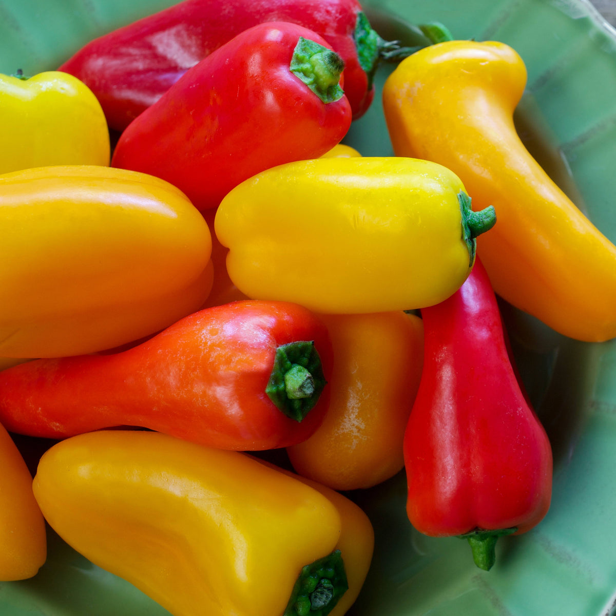 30 Seeds| Lunchbox Sweet Pepper Seeds – Heirloom, Non-GMO, Colorful Mini Peppers, Sweet Flavor, Crunchy Texture, Easy to Grow, High Yield Garden Vegetable, Perfect for Snacking, Salads, and Container Growing#7021