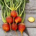 30 Seeds| Touchstone Gold Beet Seeds – Heirloom, Non-GMO, Golden Beets with Sweet Flavor, Smooth Round Roots, Tender Greens, Easy to Grow, High Yield Garden Vegetable, Perfect for Roasting, Salads, and Juicing#7022