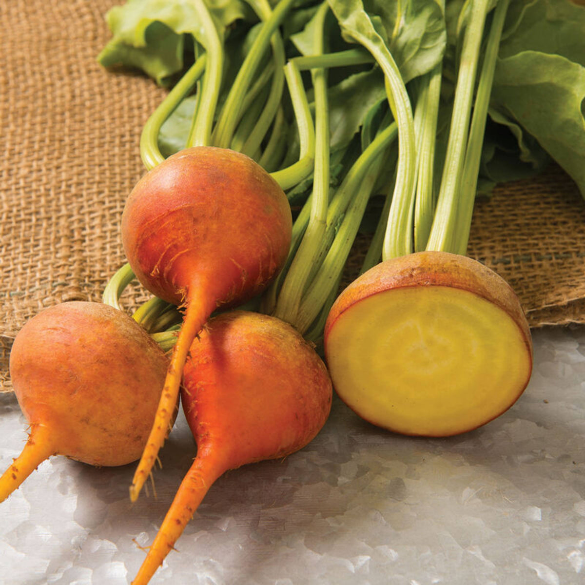 Touchstone Gold Beet Seeds - Golden Beets with Sweet Flavor, 30 seeds