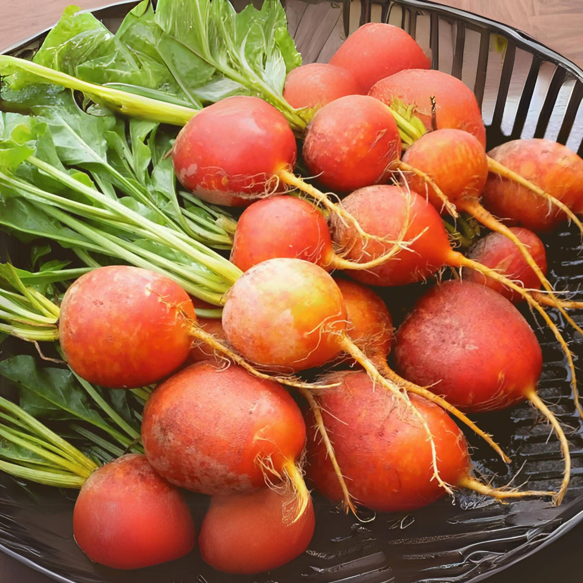 Touchstone Gold Beet Seeds - Golden Beets with Sweet Flavor, 30 seeds