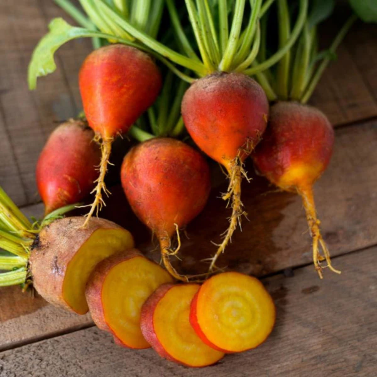 Touchstone Gold Beet Seeds - Golden Beets with Sweet Flavor, 30 seeds