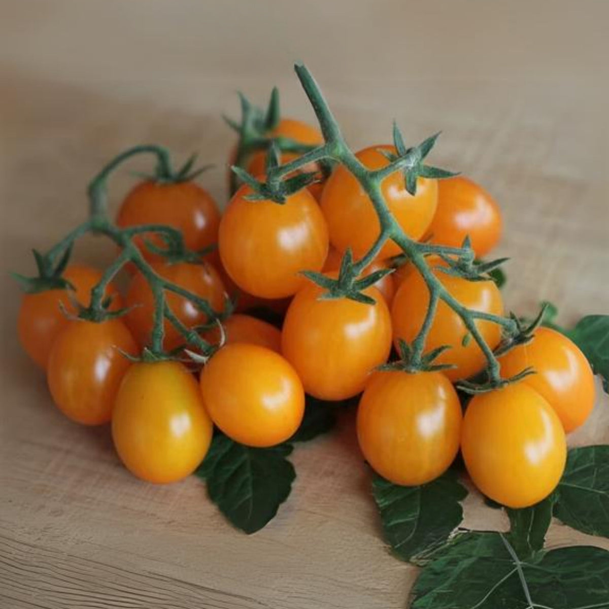 Gold Nugget Tomato Seeds - Early Cherry Variety, 30 seeds