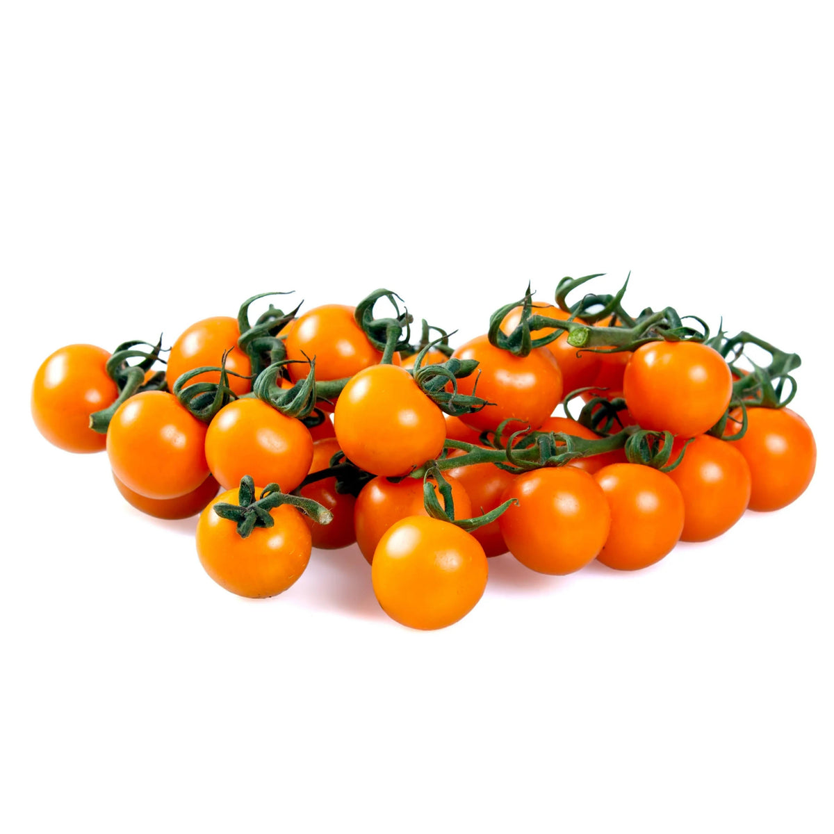 30 Seeds| Gold Nugget Tomato Seeds -Heirloom – Non-GMO – Early Maturity – Golden Yellow – Sweet Flavor – Compact – High Yield – Container Friendly – Fresh Eating – Garden to Table #7023