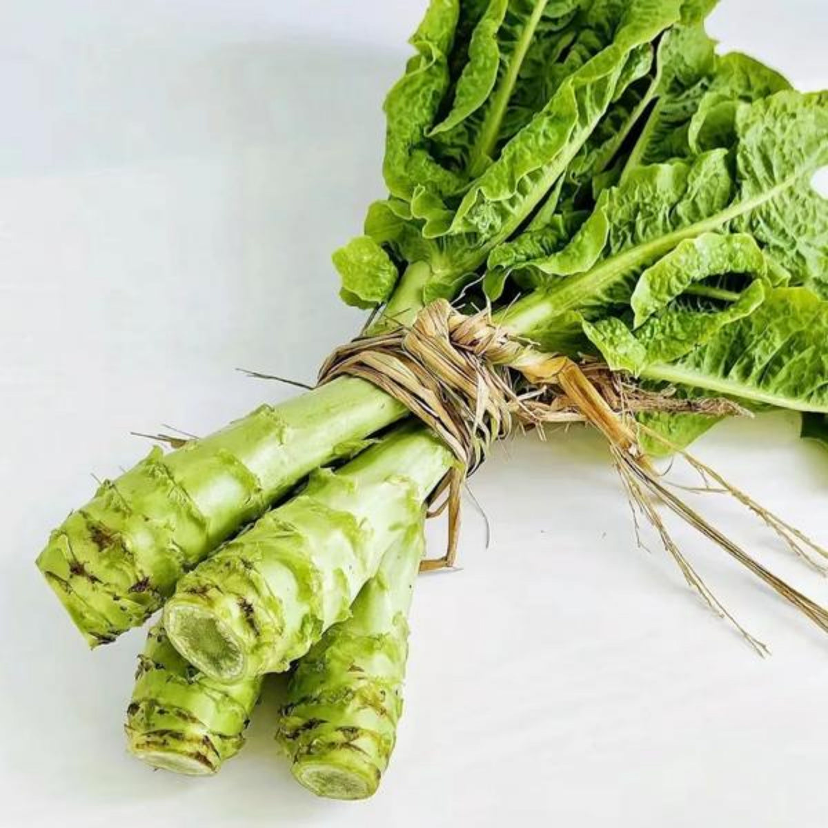 Chinese Stem Lettuce Seeds - Crisp Stalks and Tender Leaves, 25 seeds