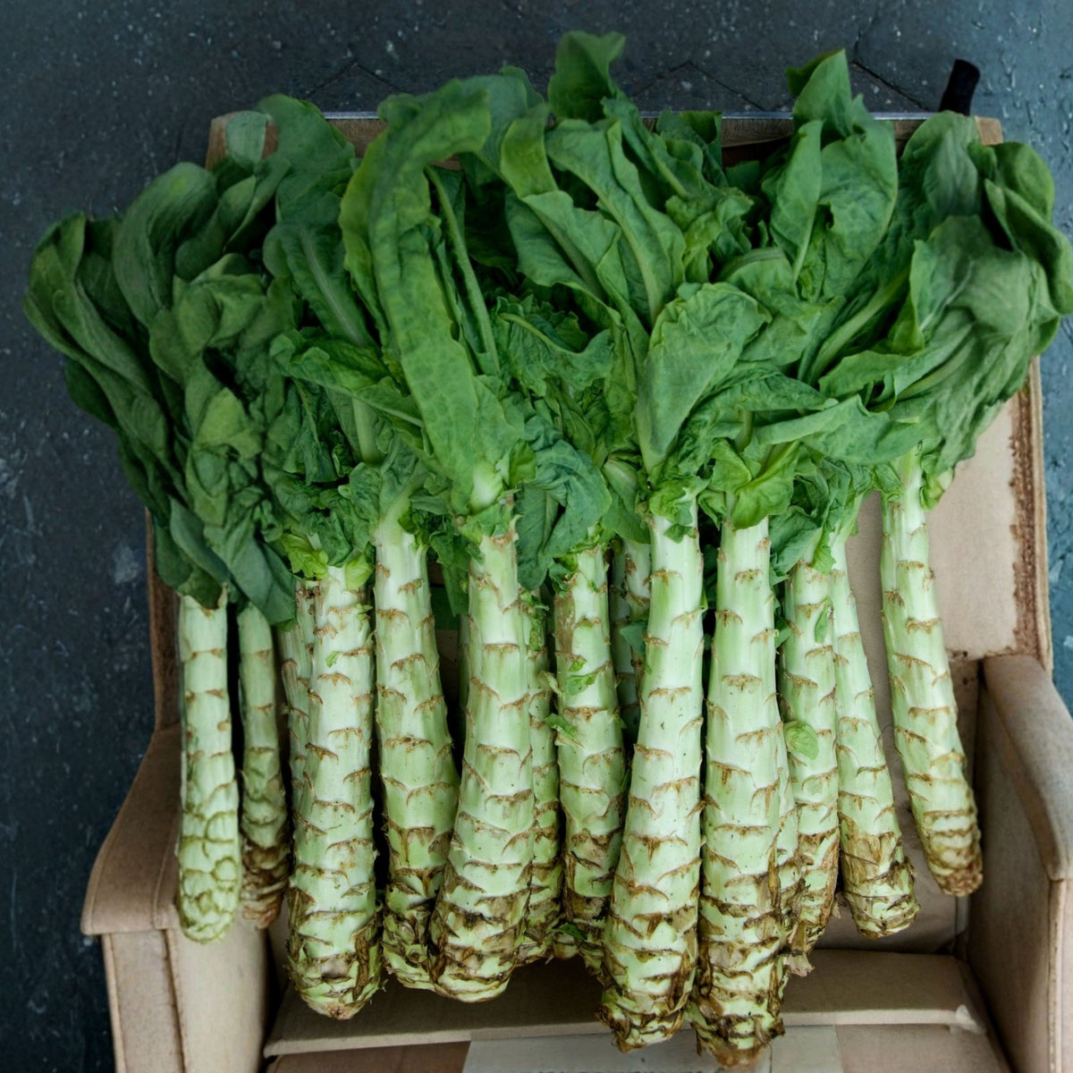 Chinese Stem Lettuce Seeds - Crisp Stalks and Tender Leaves, 25 seeds