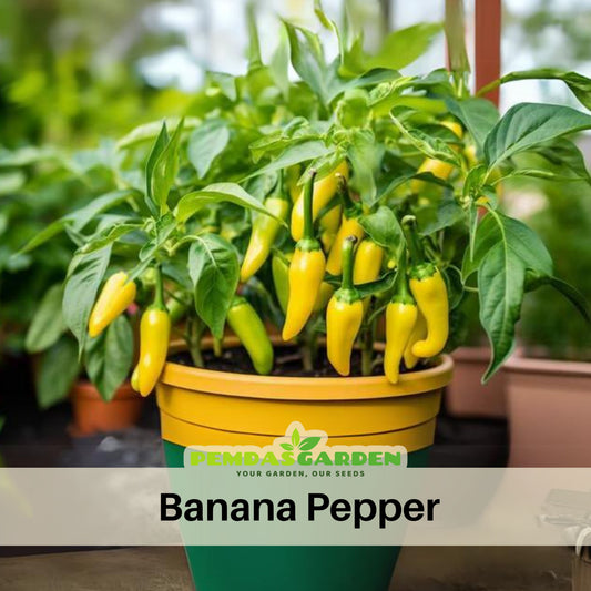 Banana Pepper Seeds - Sweet & Mild Peppers, 30 seeds