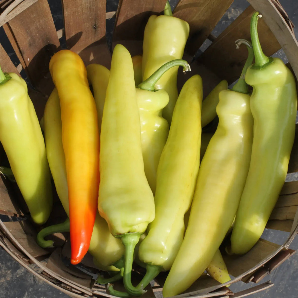 Banana Pepper Seeds - Sweet & Mild, High Yield, 30 seeds