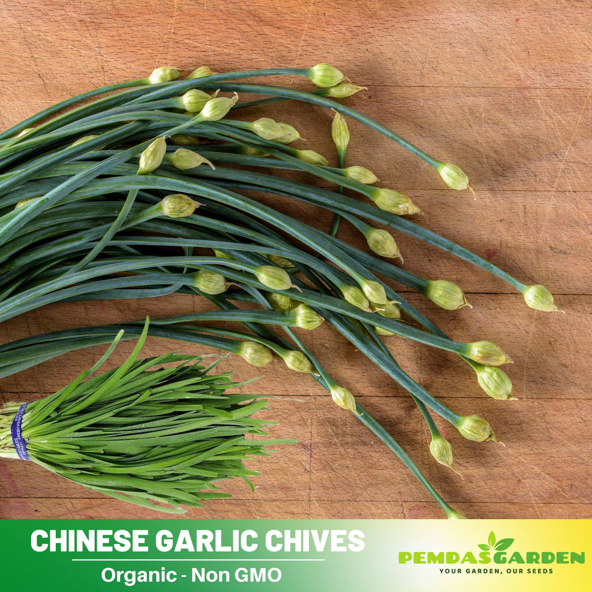 55 Seeds| Chinese Chives  Garlic Seeds -Heirloom – Non-GMO – Perennial – Mild Garlic Flavor – Edible Flowers – Easy to Grow – Asian Herb – Garden to Table – Container Friendly – Pollinator Friendly #7028