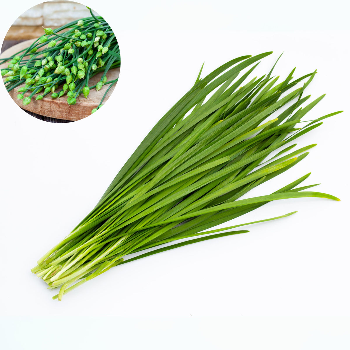 Chinese Chives Garlic Seeds - Perennial Asian Herb, 55 seeds
