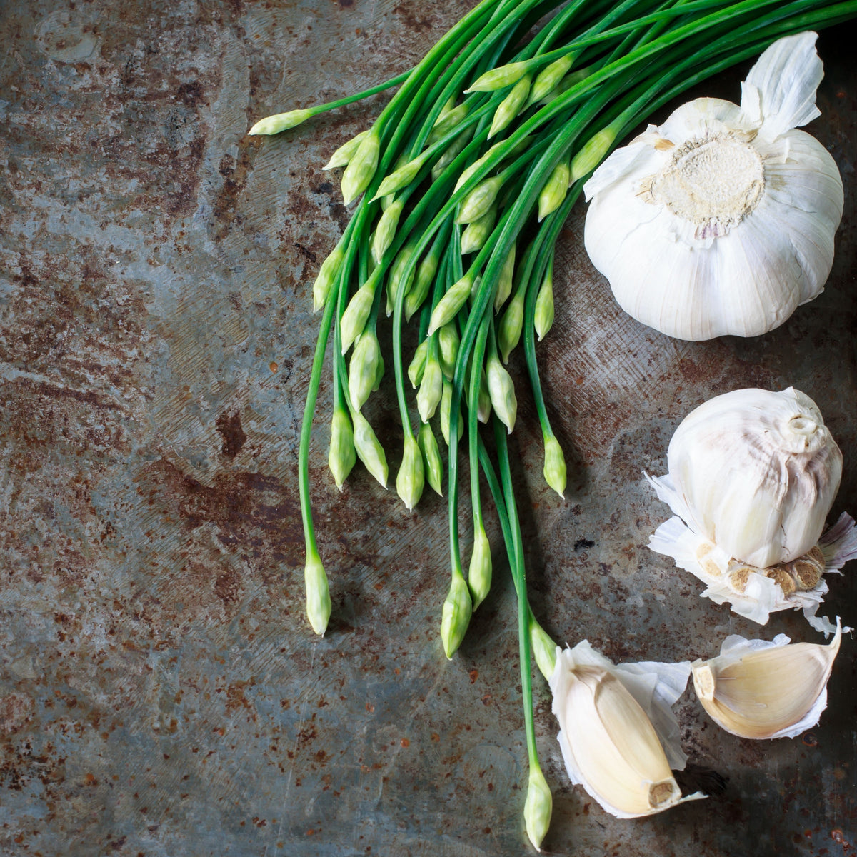 Chinese Chives Garlic Seeds - Perennial Asian Herb, 55 seeds