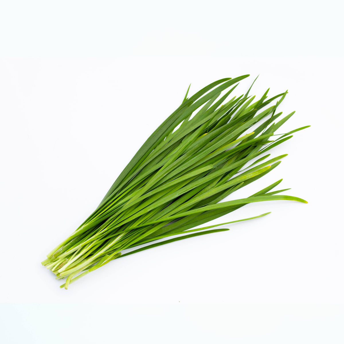 Chinese Chives Garlic Seeds - Perennial Asian Herb, 55 seeds
