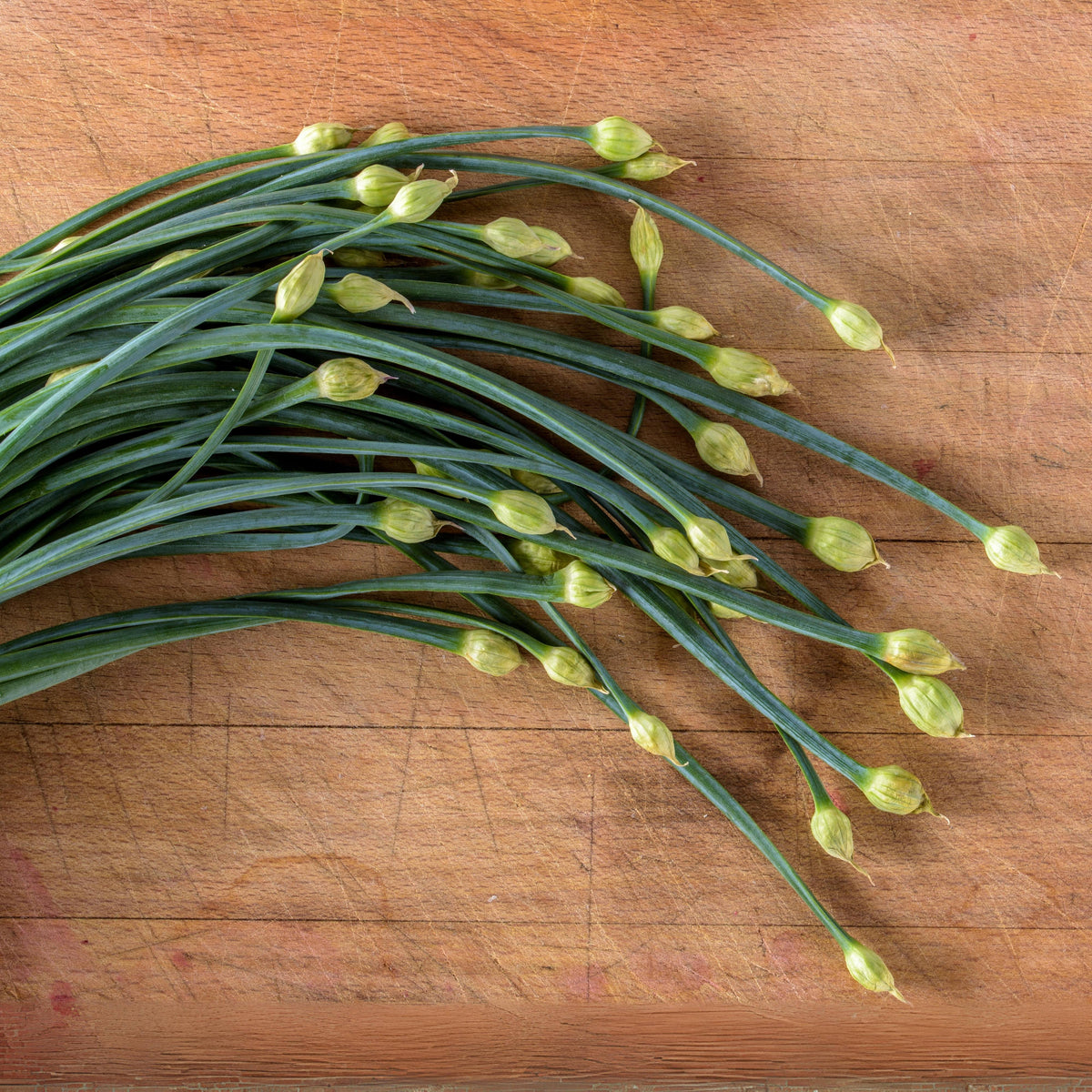 Chinese Chives Garlic Seeds - Perennial Asian Herb, 55 seeds