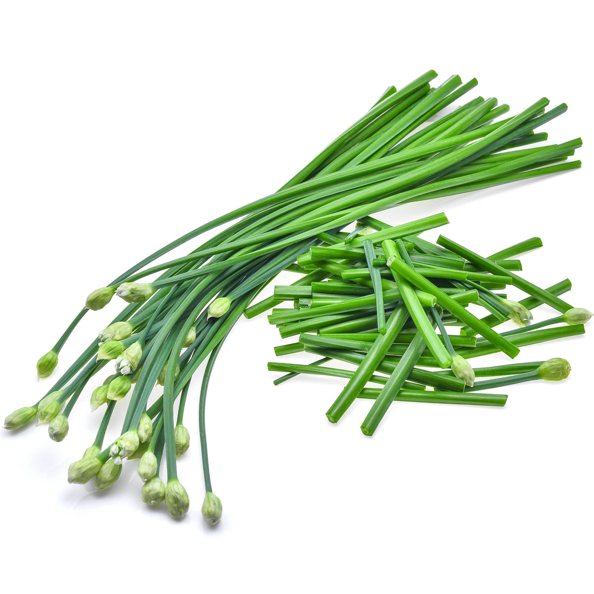 Chinese Chives Garlic Seeds - Perennial Asian Herb, 55 seeds