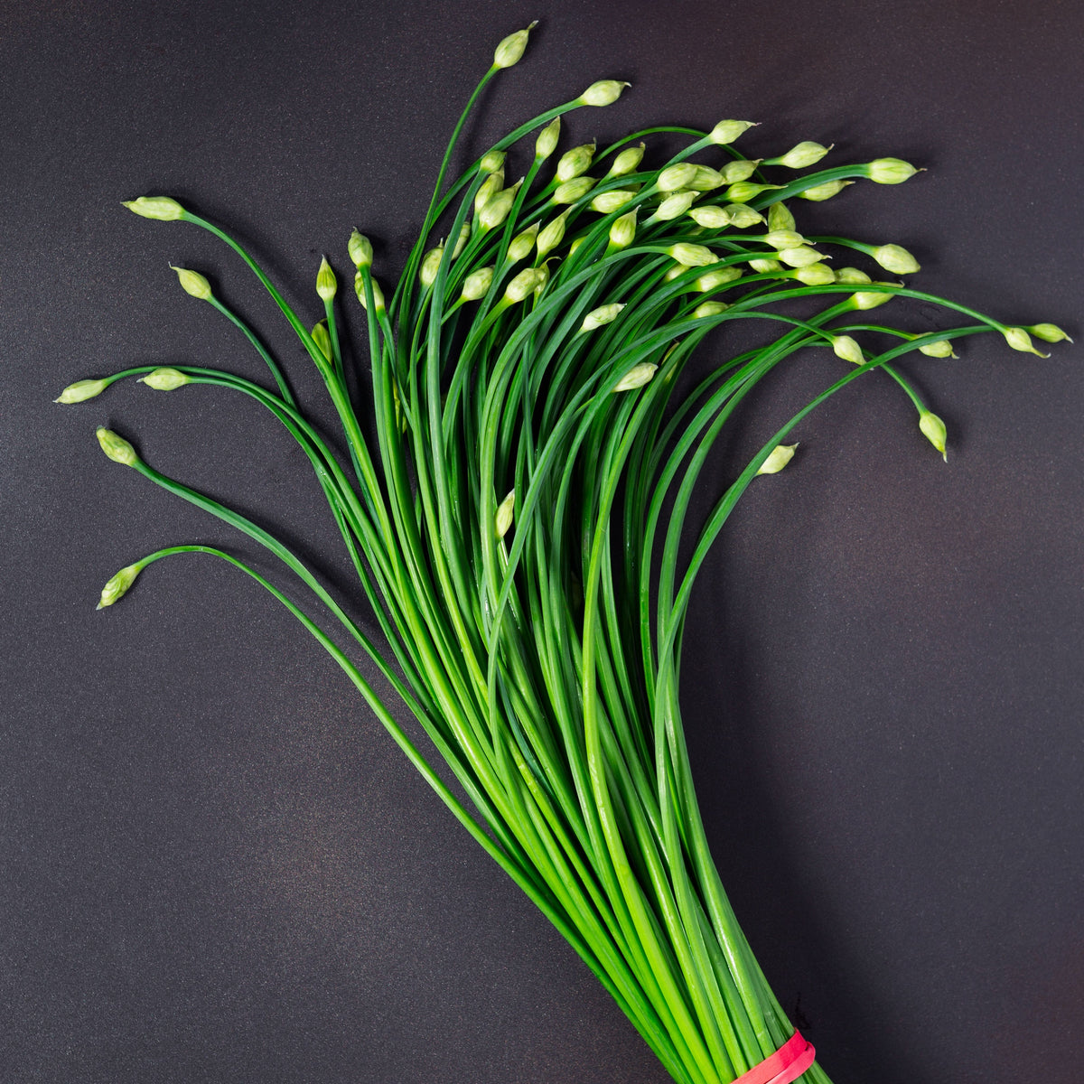 Chinese Chives Garlic Seeds - Perennial Asian Herb, 55 seeds