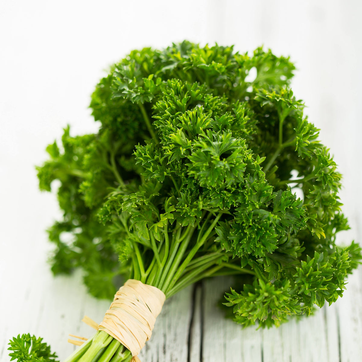 Triple Moss Curled Parsley Seeds - Frilly Dark Green Leaves, 210 seeds