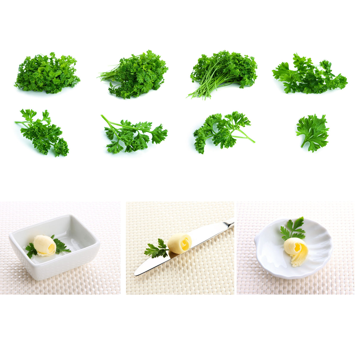 Triple Moss Curled Parsley Seeds - Frilly Dark Green Leaves, 210 seeds
