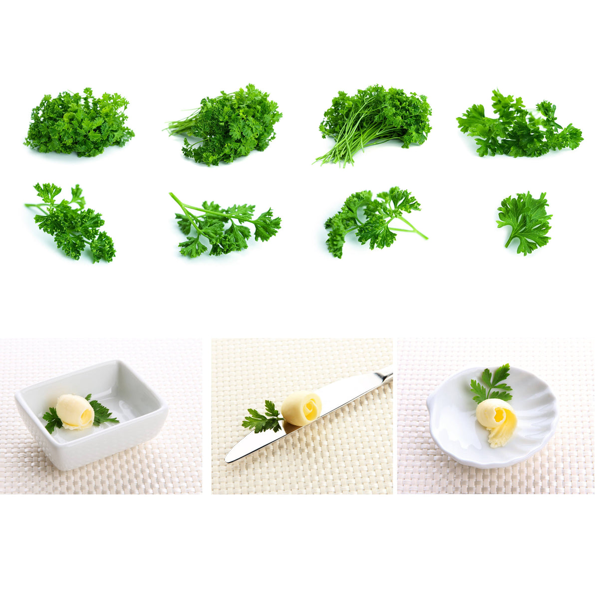 Triple Moss Curled Parsley Seeds - Frilly Dark Green Leaves, 210 seeds