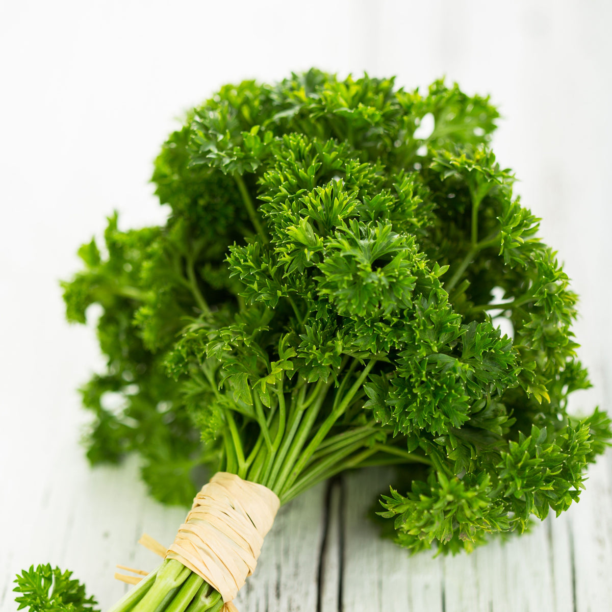 Triple Moss Curled Parsley Seeds - Frilly Dark Green Leaves, 210 seeds