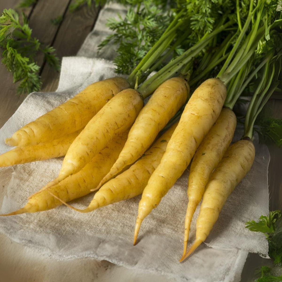 Solar Yellow Carrot Seeds - Golden Yellow Roots, 310 seeds