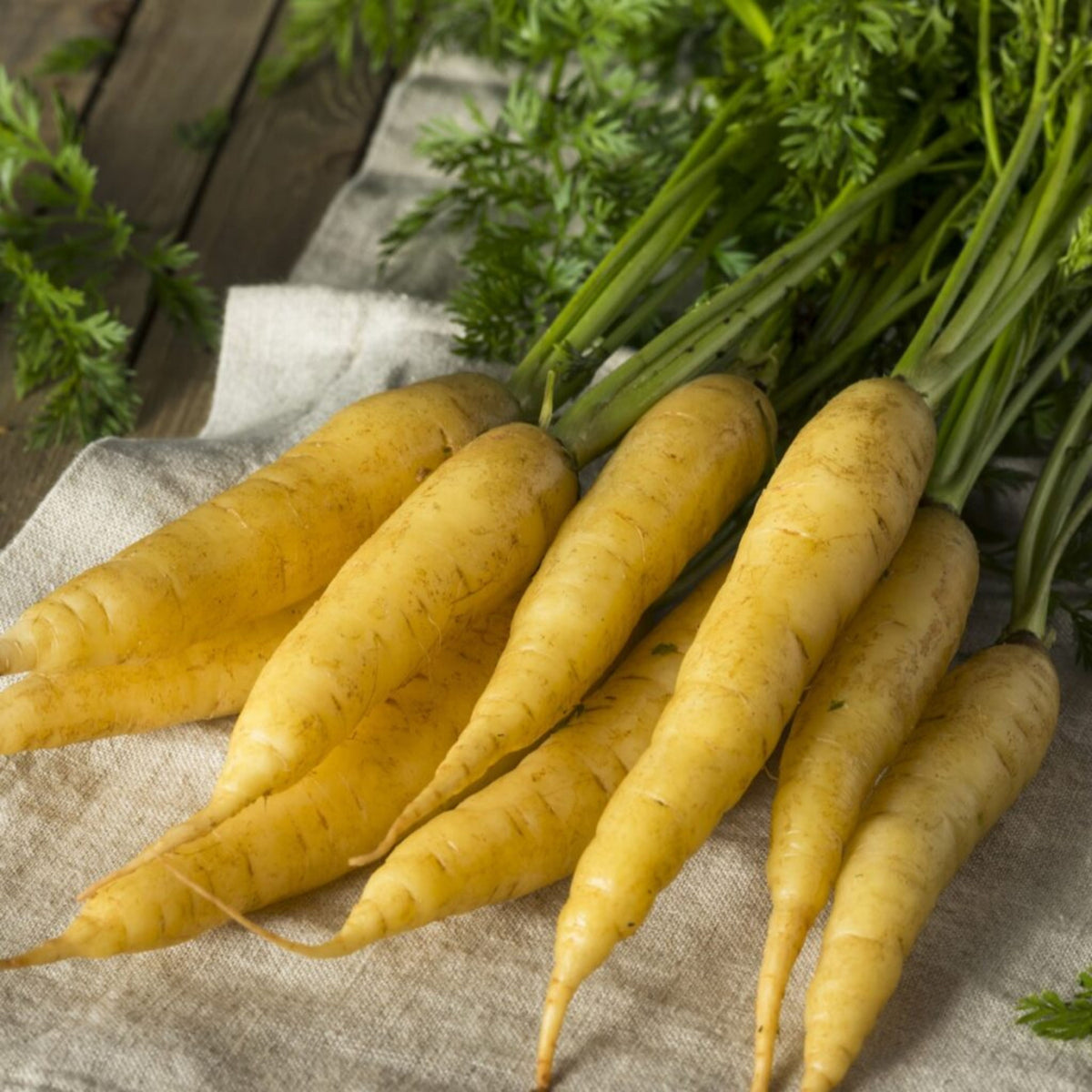 Solar Yellow Carrot Seeds - Golden Yellow Roots, 310 seeds