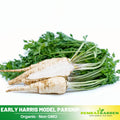 210 Seeds| Early Harris Model Parsnip Seeds - Heirloom – Non-GMO – Sweet Nutty Flavor – Long Roots – Cold Hardy – Winter Storage – Easy to Grow – High Yield – Fresh Eating – Garden to Table #7033