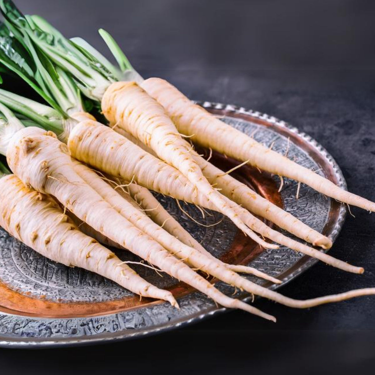 210 Seeds| Early Harris Model Parsnip Seeds - Heirloom – Non-GMO – Sweet Nutty Flavor – Long Roots – Cold Hardy – Winter Storage – Easy to Grow – High Yield – Fresh Eating – Garden to Table #7033