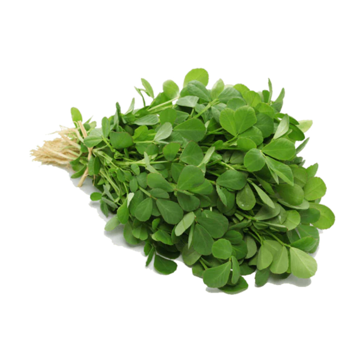 Fenugreek Seeds - Fast Growing Herb, Nutty Bitter, 55 seeds