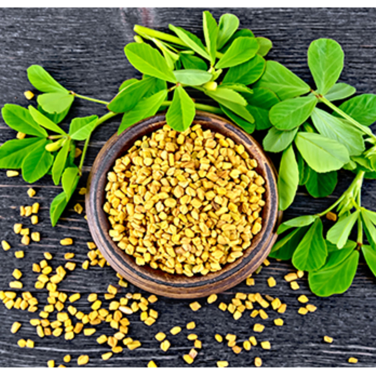 55 Seeds| Fenugreek Seeds - Heirloom – Non-GMO – Fast Growing – Microgreens – Sprouting – Edible Leaves – Edible Seeds – Easy to Grow – Culinary Herb – Garden to Table#7041