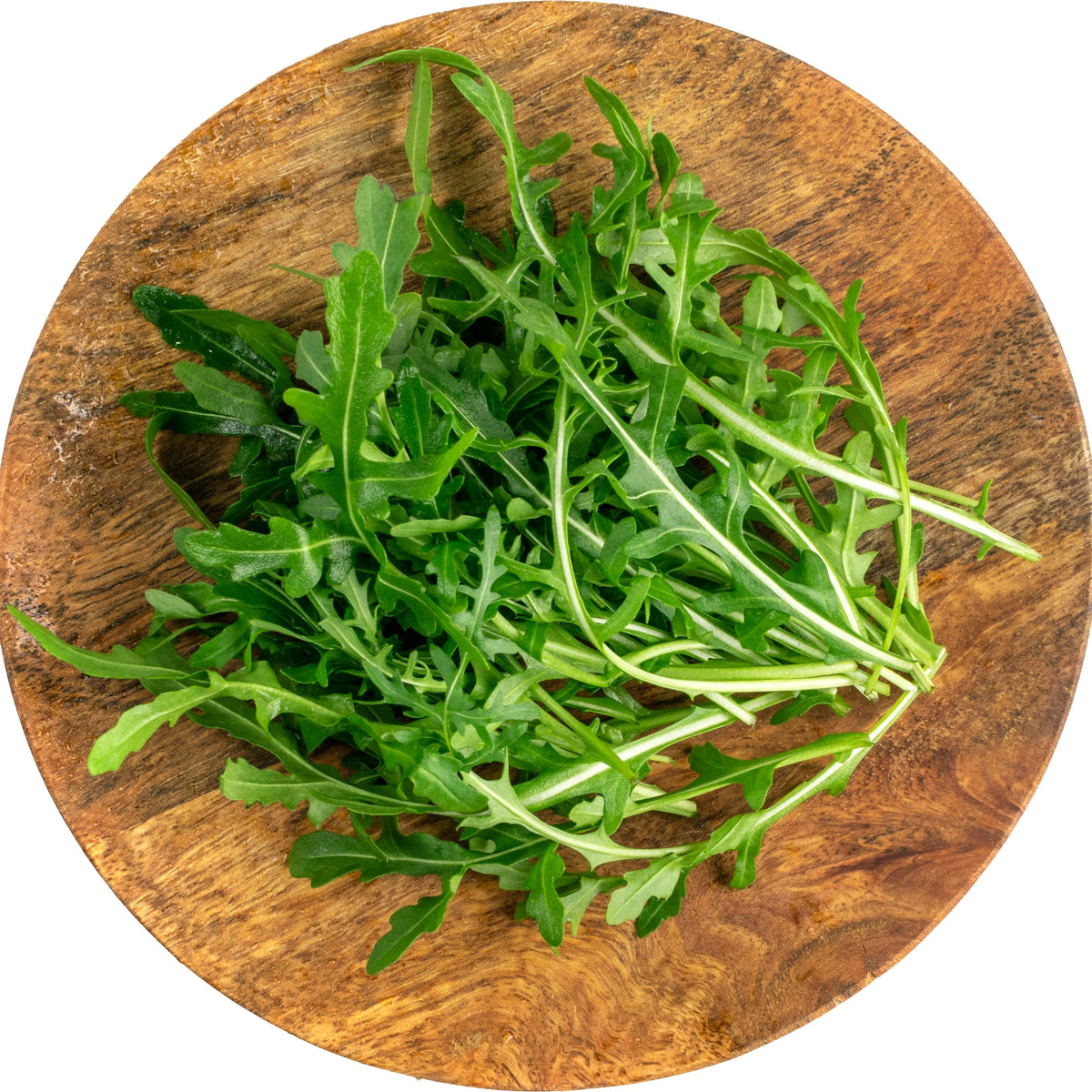 Astro Arugula Seeds - Asian Garden~ Organic, Vegetable Seeds, 50 seeds
