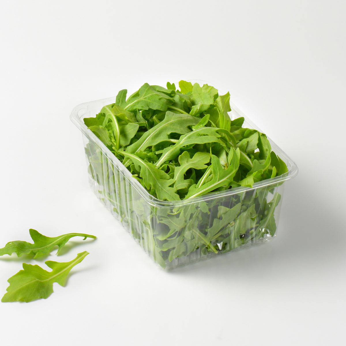 50s| Astro Arugula Seeds - Authentic - Open-Pollinated - Asian Garden~ Organic - Heirloom - Vegetable Seeds - #8001