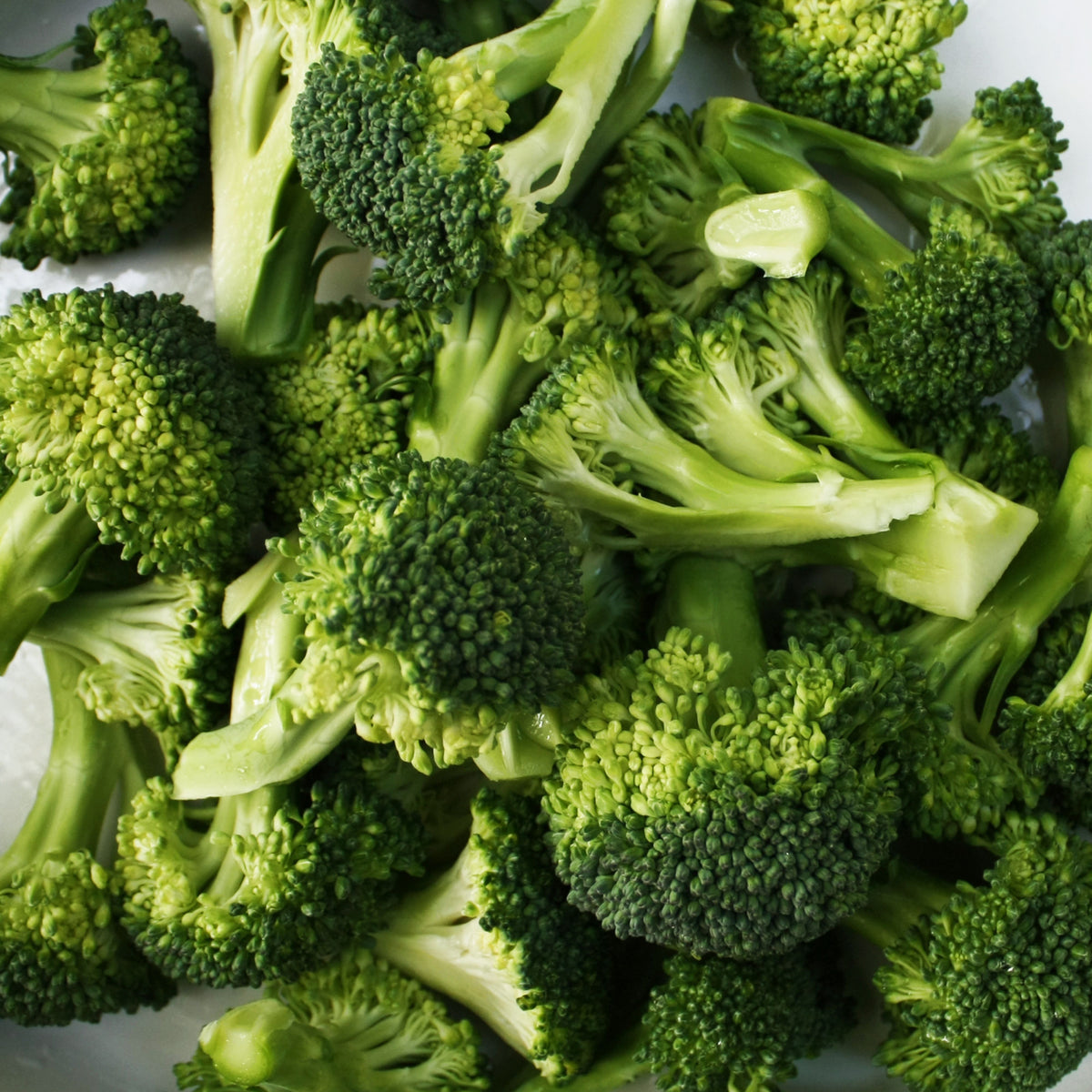 20s| Broccoli Seeds - - Authentic - Open-Pollinated - Asian Garden~ Organic - Heirloom - Vegetable Seeds - #8002