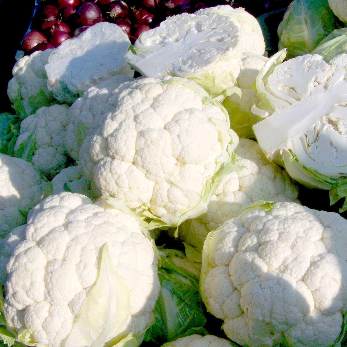 20s| Snowball Y Improved Cauliflower Seeds -- Authentic - Open-Pollinated - Asian Garden~ Organic - Heirloom - Vegetable Seeds - #8003