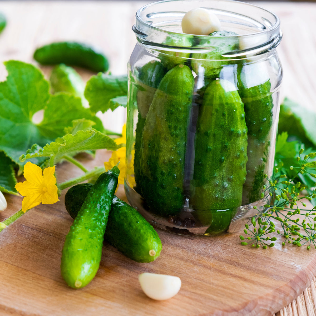 Bush Pickle Cucumber Seeds - Asian Garden~ Organic, 20 seeds