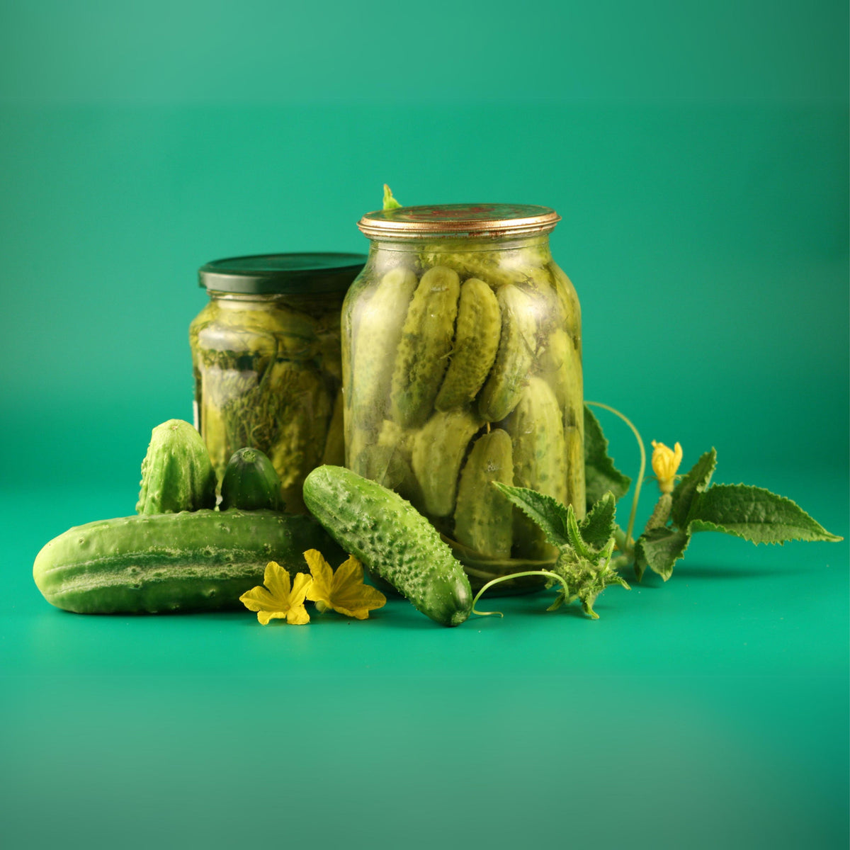 Bush Pickle Cucumber Seeds - Asian Garden~ Organic, 20 seeds
