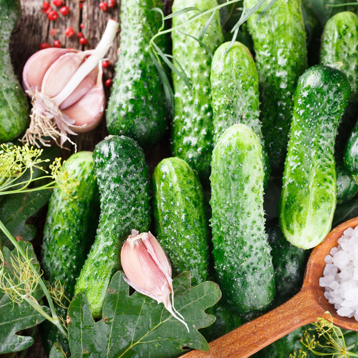 Bush Pickle Cucumber Seeds - Asian Garden~ Organic, 20 seeds
