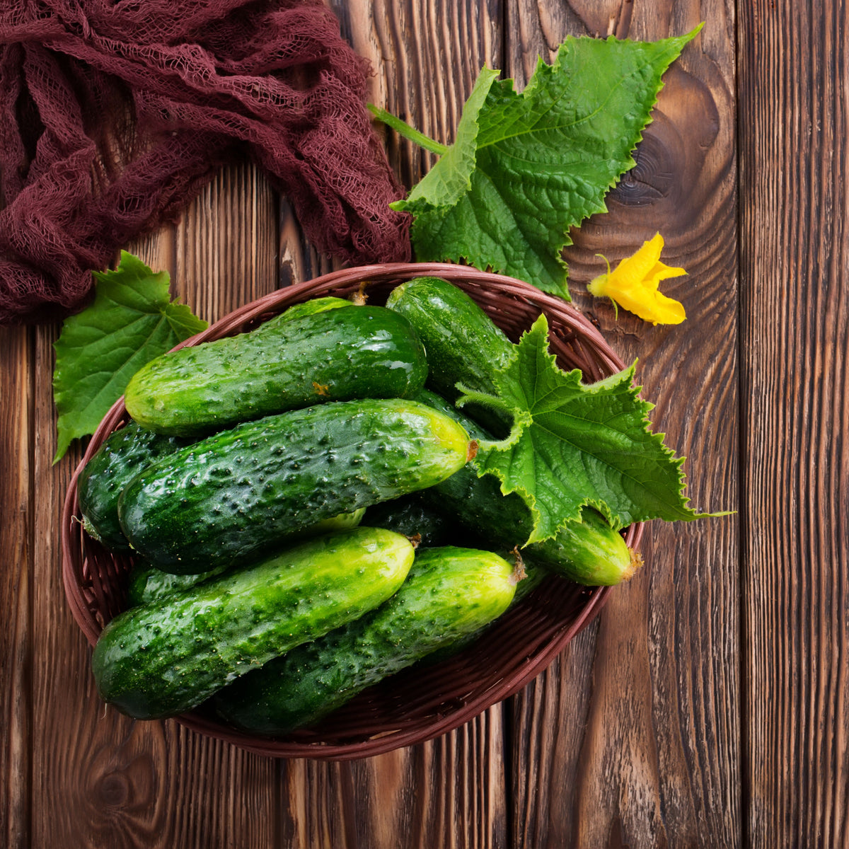 Bush Pickle Cucumber Seeds - Asian Garden~ Organic, 20 seeds