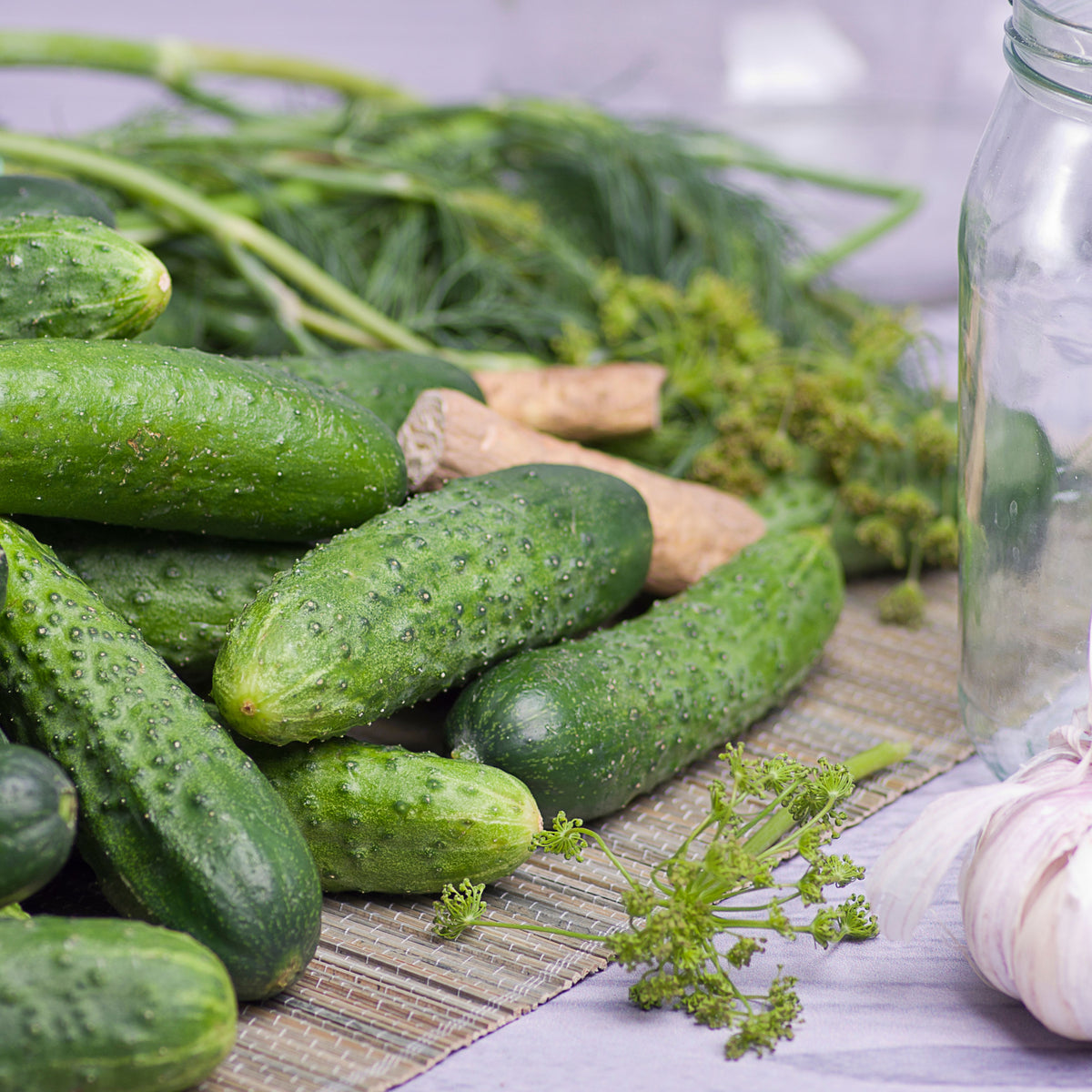 Bush Pickle Cucumber Seeds - Asian Garden~ Organic, 20 seeds