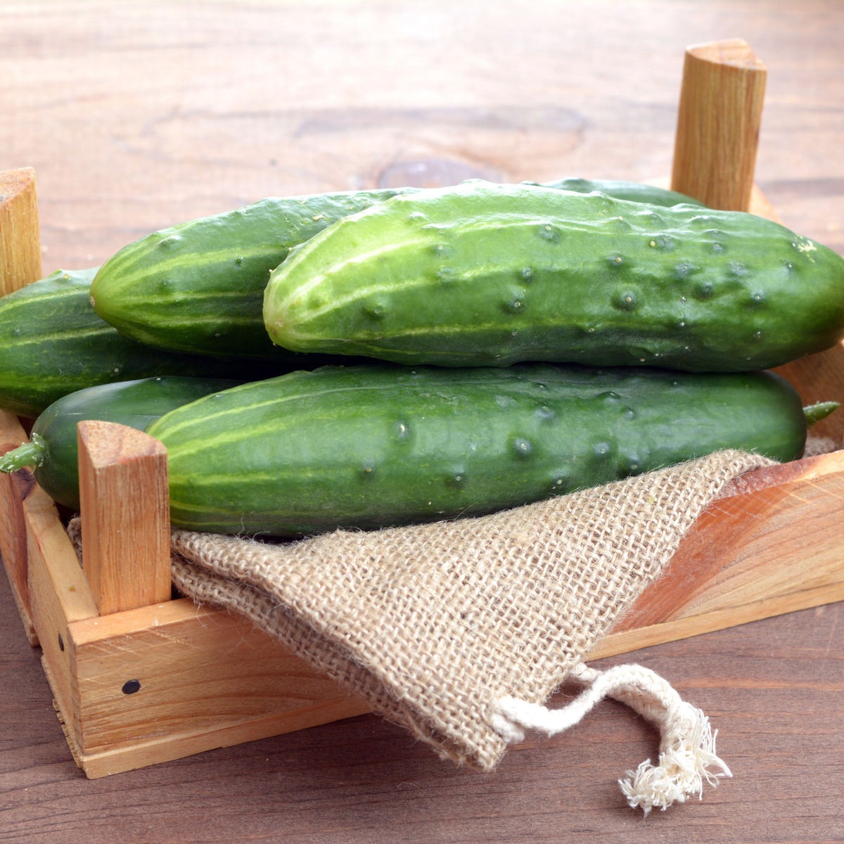 Bush Pickle Cucumber Seeds - Asian Garden~ Organic, 20 seeds
