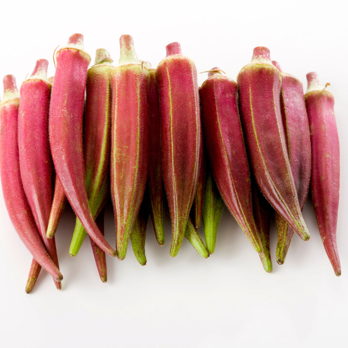 20s| Red Burgundy Okra Seeds - Authentic - Open-Pollinated - Asian Garden~ Organic - Heirloom - Vegetable Seeds - #8006