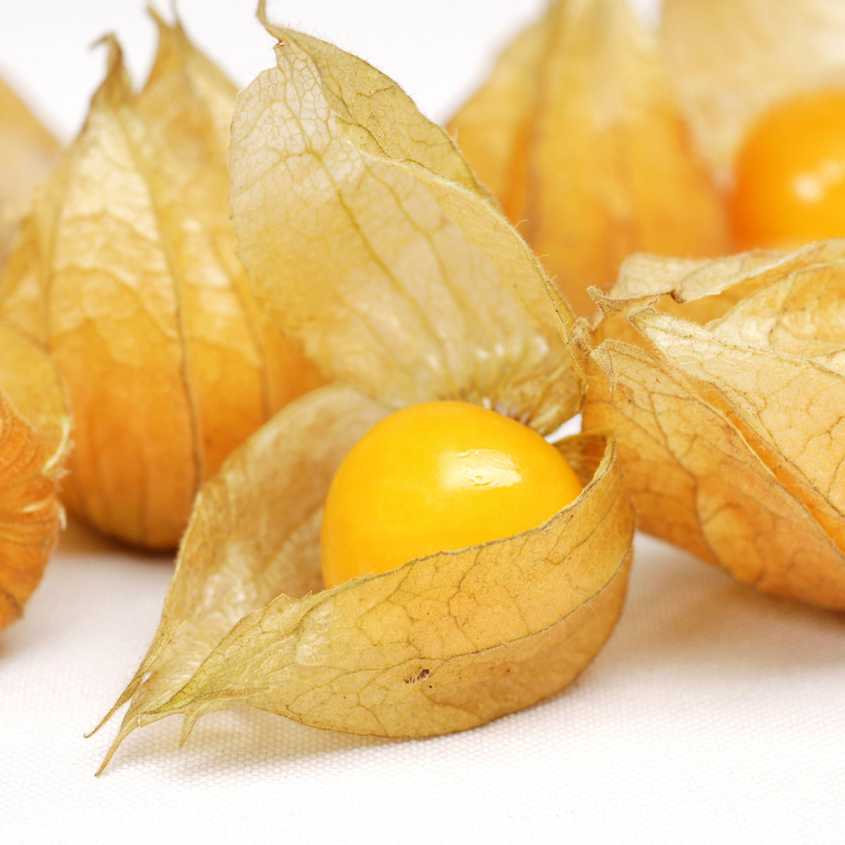 Aunt Molly's Tomatillo Seeds - Physalis Philadelphica, 20 seeds