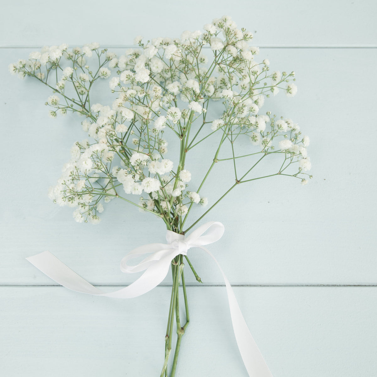 White Common Baby's Breath Seeds - Delicate Blooms, 30 seeds
