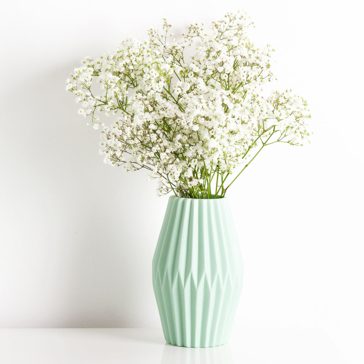 White Common Baby's Breath Seeds - Delicate Blooms, 30 seeds