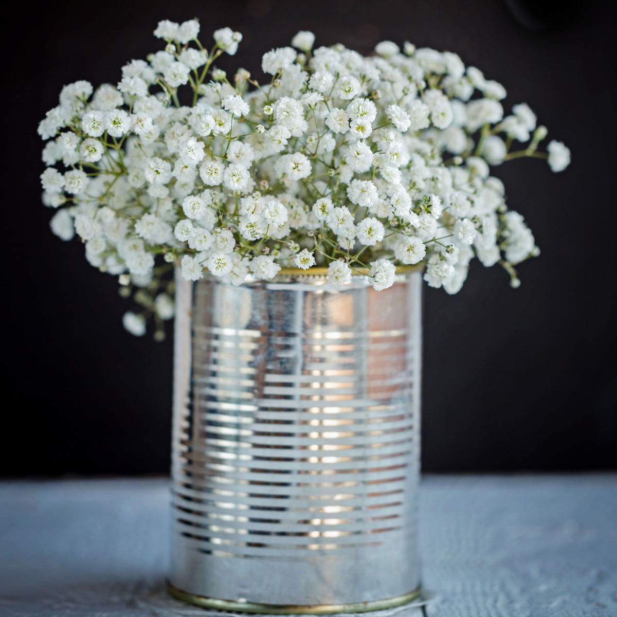 30s| White Creeping Baby's Breath Seeds - Gypsophila repensBaby’s Breath Seeds – Heirloom, Non-GMO, Delicate Blooms, Wedding Flowers, Easy to Grow Annual, Perfect for Flower Arrangements, Bouquets, Borders, and Pollinator Gardens#8015